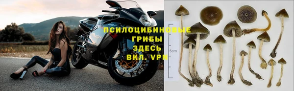 mdma Гусев