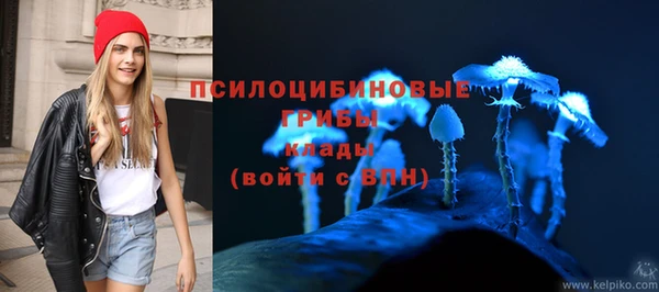 mdma Гусев