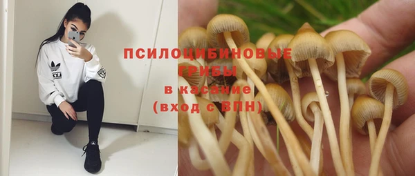 mdma Гусев