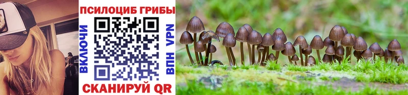 Галлюциногенные грибы Magic Shrooms купить наркотик Духовщина